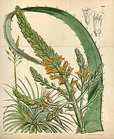  no thumbnail available