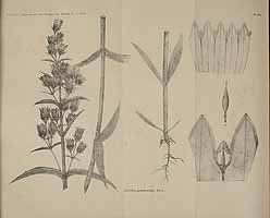  no thumbnail available