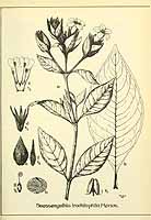  no thumbnail available