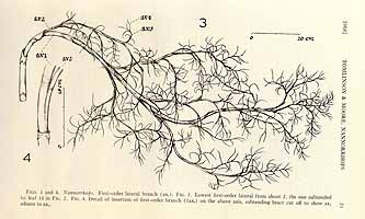  no thumbnail available