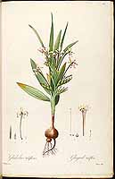  no thumbnail available