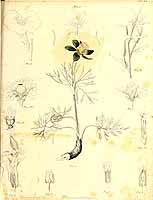  no thumbnail available