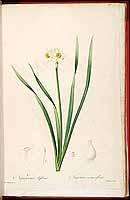  no thumbnail available