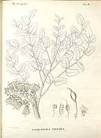  no thumbnail available