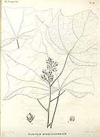  no thumbnail available