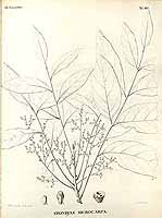  no thumbnail available