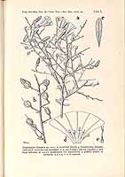  no thumbnail available