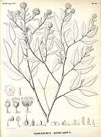  no thumbnail available