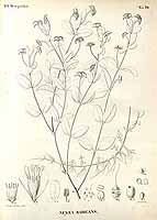  no thumbnail available