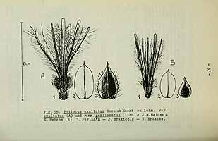  no thumbnail available