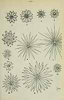  no thumbnail available