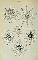  no thumbnail available