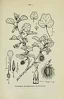  no thumbnail available