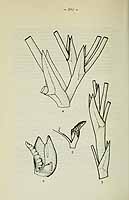  no thumbnail available