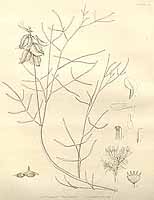  no thumbnail available