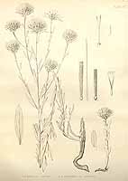  no thumbnail available