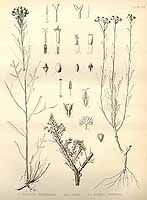  no thumbnail available