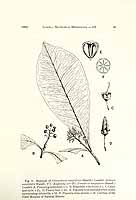  no thumbnail available