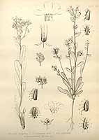  no thumbnail available