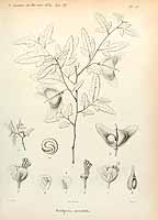  no thumbnail available