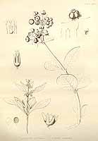  no thumbnail available