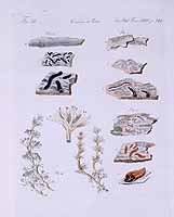  no thumbnail available