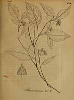  no thumbnail available