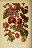  no thumbnail available