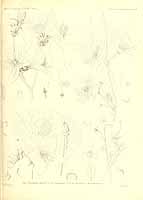  no thumbnail available