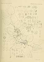  no thumbnail available