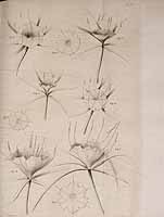  no thumbnail available