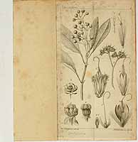  no thumbnail available