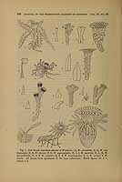  no thumbnail available