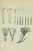  no thumbnail available