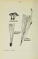  no thumbnail available