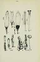  no thumbnail available