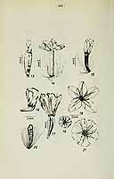  no thumbnail available