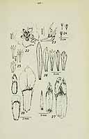  no thumbnail available