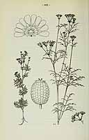  no thumbnail available