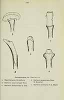  no thumbnail available