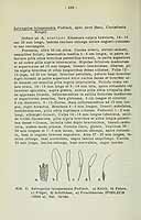  no thumbnail available