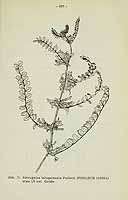  no thumbnail available