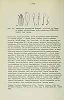  no thumbnail available