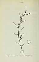  no thumbnail available