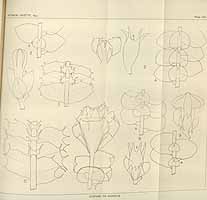  no thumbnail available