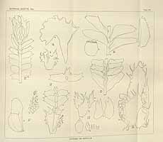  no thumbnail available