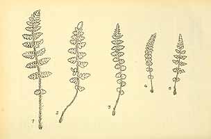  no thumbnail available