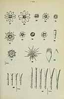  no thumbnail available