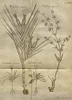  no thumbnail available