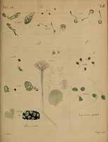  no thumbnail available